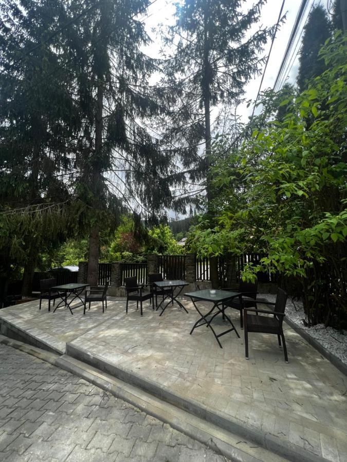Chalet Minut Vatra Dornei Extérieur photo